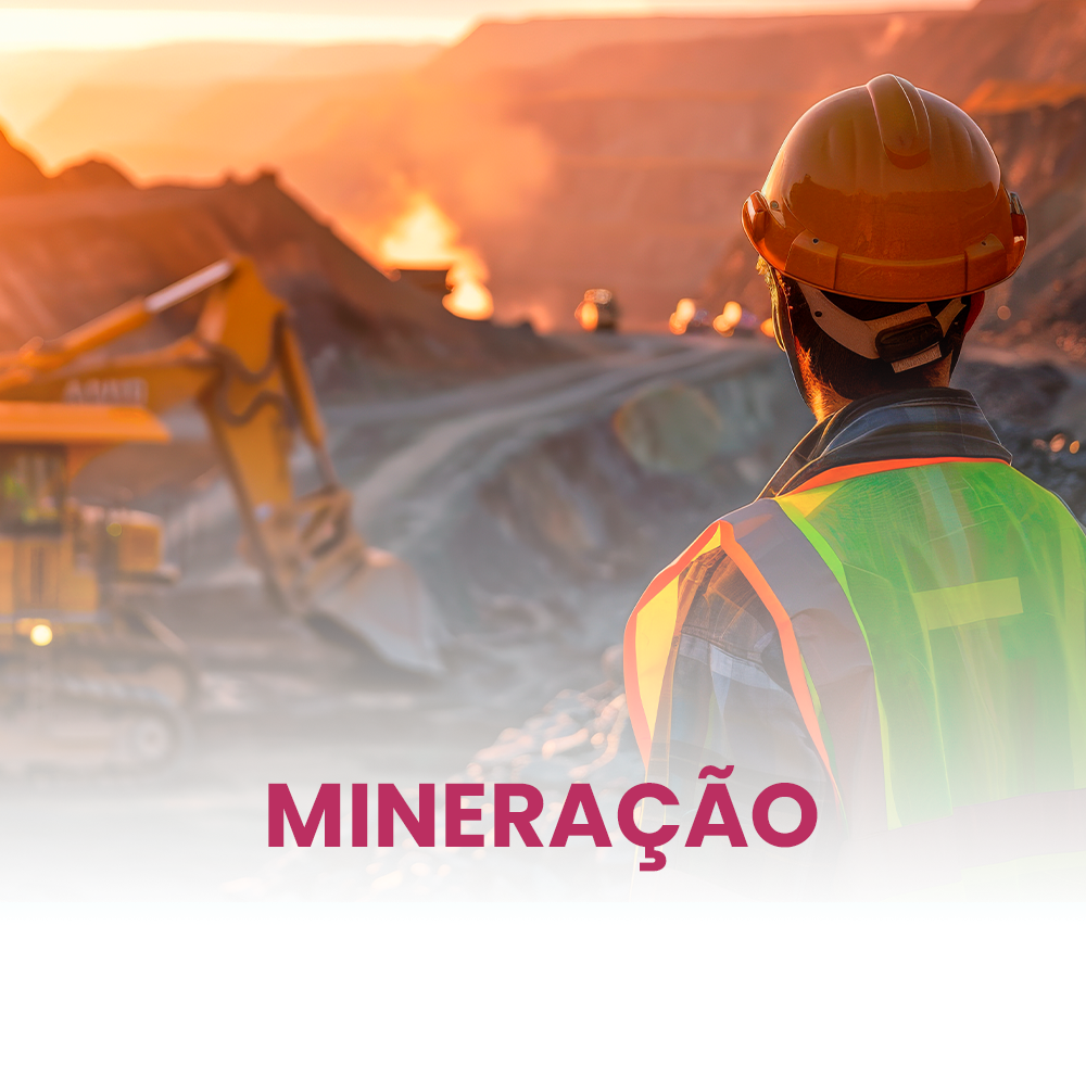 Assets-imgPrancheta-1-copiar-4